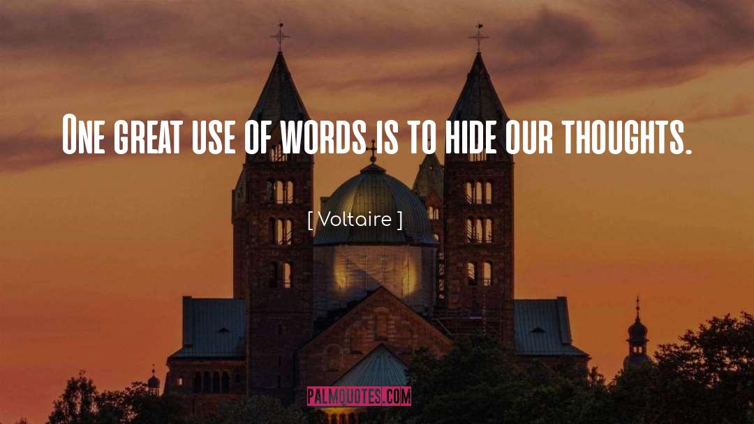 Keeping Secrets quotes by Voltaire