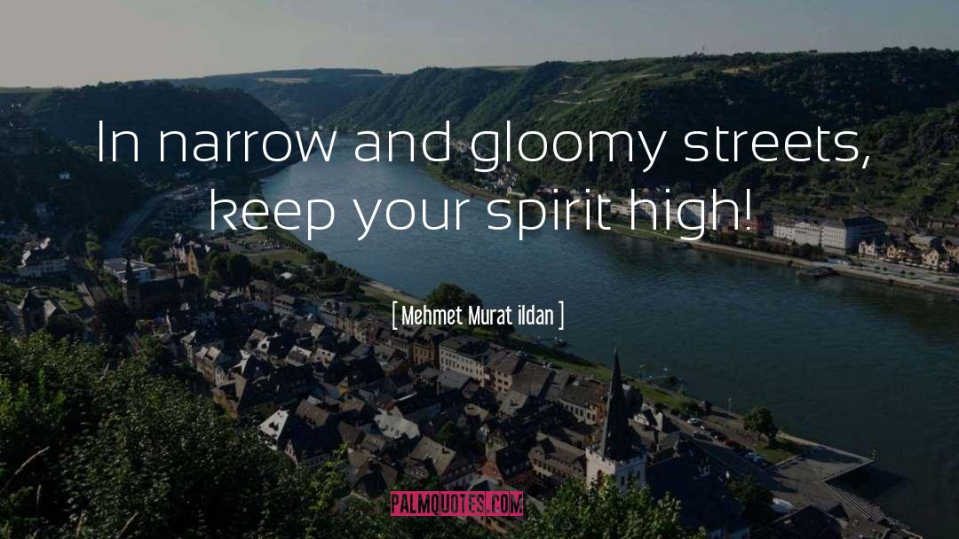 Keeping Spirit High quotes by Mehmet Murat Ildan