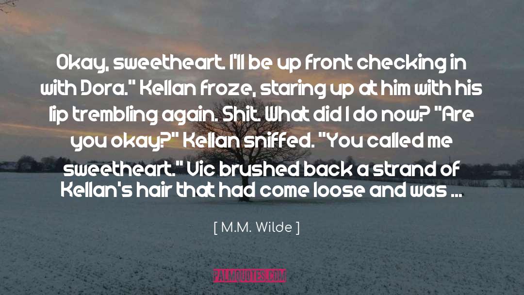 Kellan And Shay quotes by M.M. Wilde