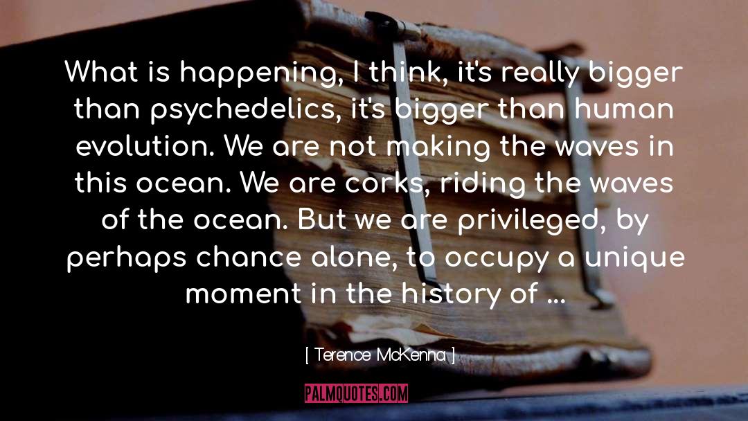 Kelsey To The Ocean Teacher quotes by Terence McKenna