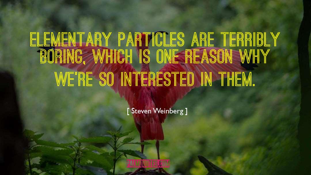 Kerley Elementary quotes by Steven Weinberg