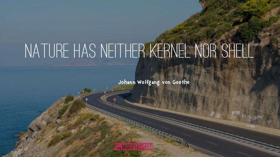 Kernel Fleck quotes by Johann Wolfgang Von Goethe