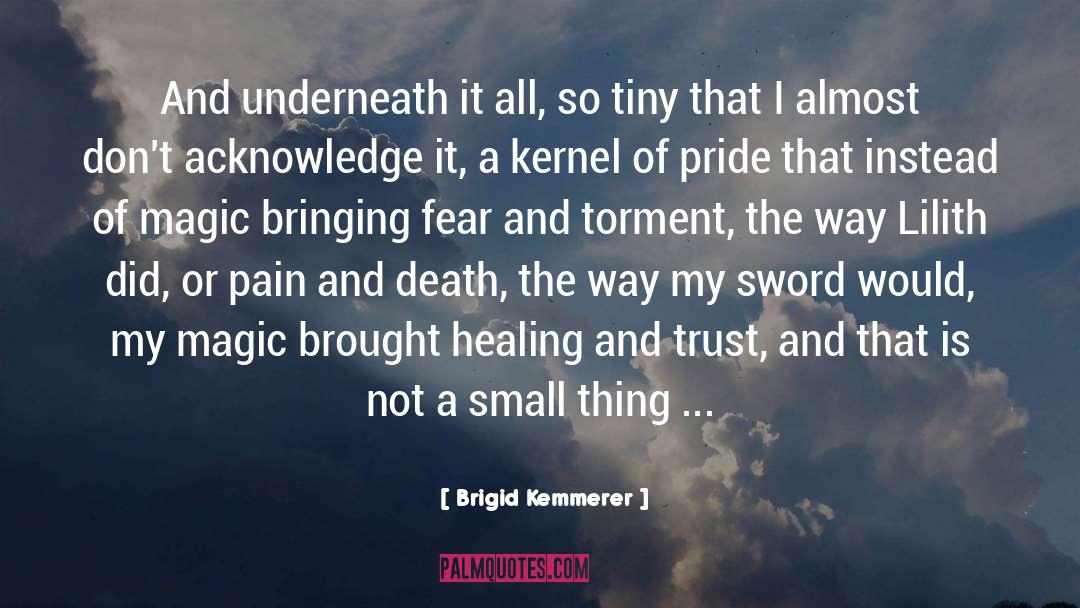 Kernel quotes by Brigid Kemmerer