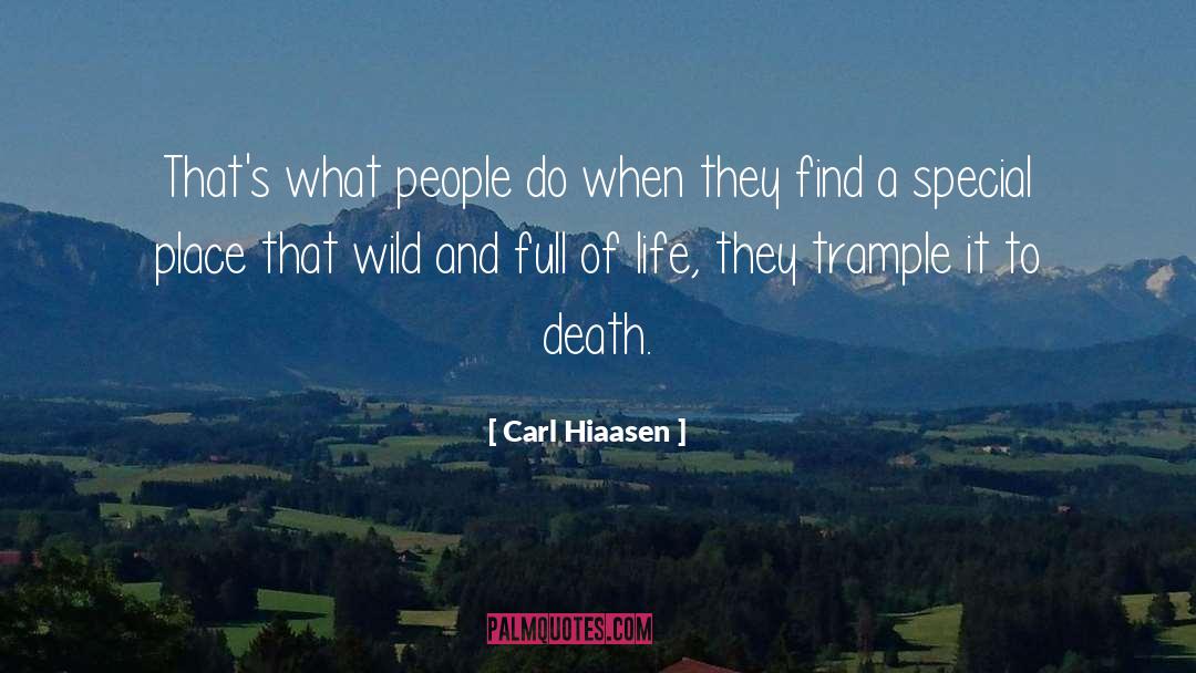 Kerrii Wild quotes by Carl Hiaasen