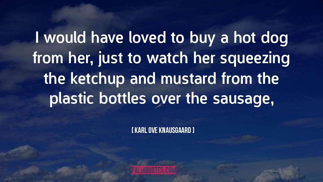 Ketchup quotes by Karl Ove Knausgaard