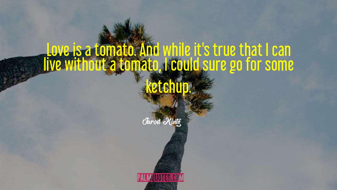 Ketchup quotes by Jarod Kintz