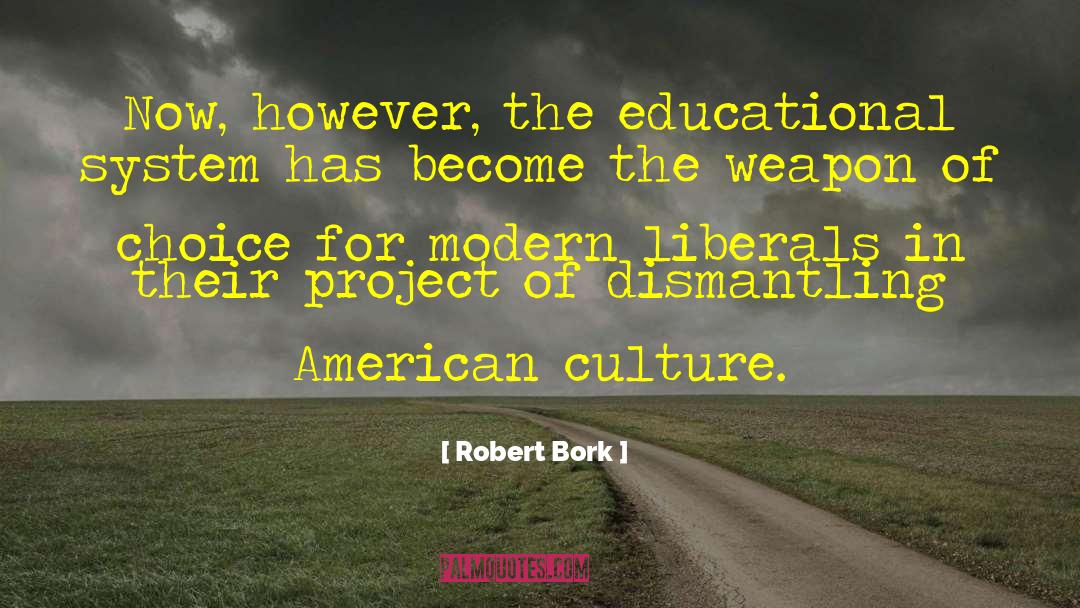 Ketemu Project quotes by Robert Bork