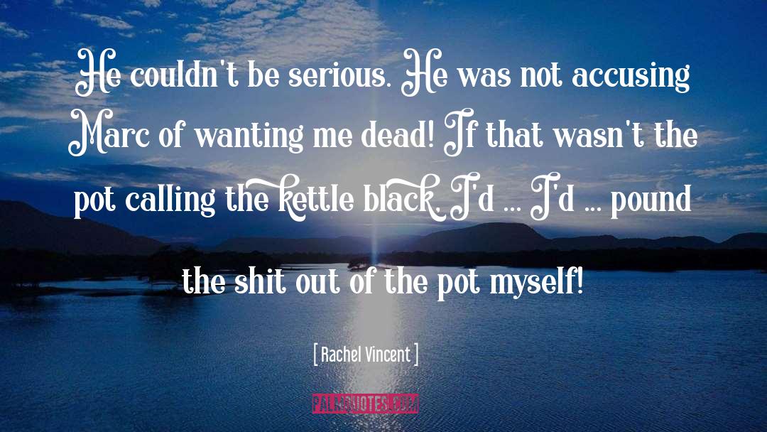 Kettle quotes by Rachel Vincent