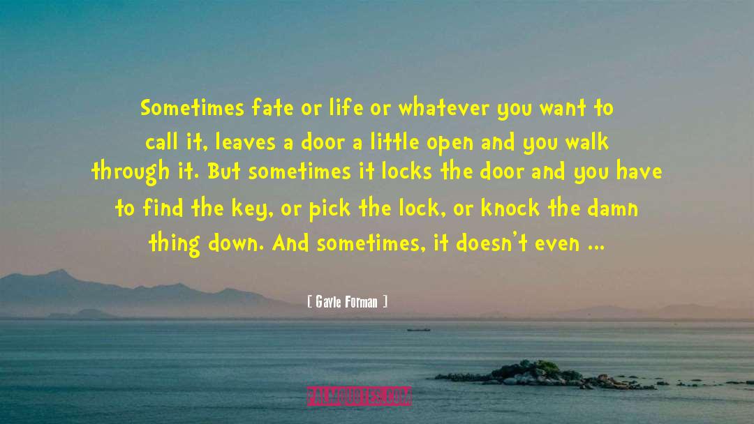 Key And Door quotes by Gayle Forman