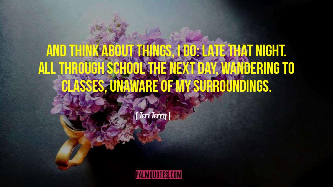 Key Things quotes by Teri Terry