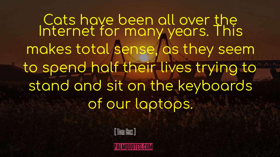 Keyboards quotes by Tom Cox