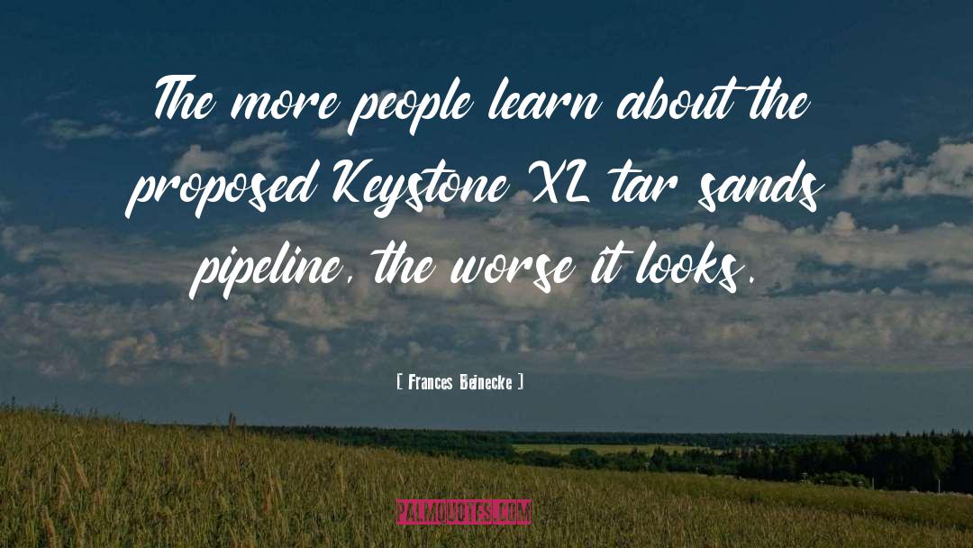 Keystone quotes by Frances Beinecke
