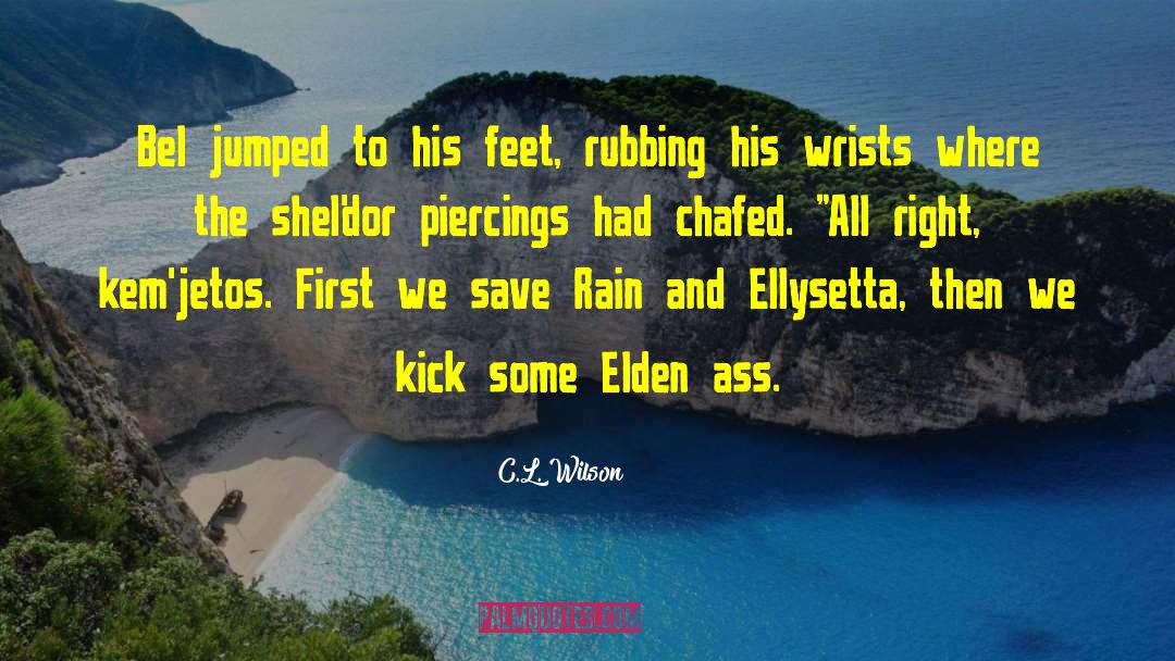 Kick Me quotes by C.L. Wilson