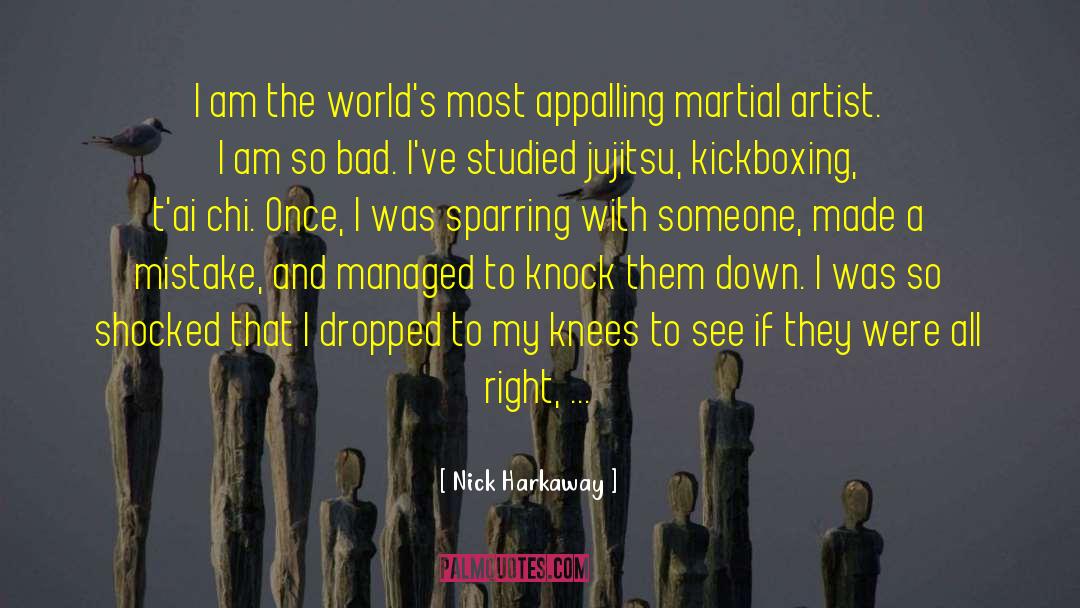 Kickboxing quotes by Nick Harkaway