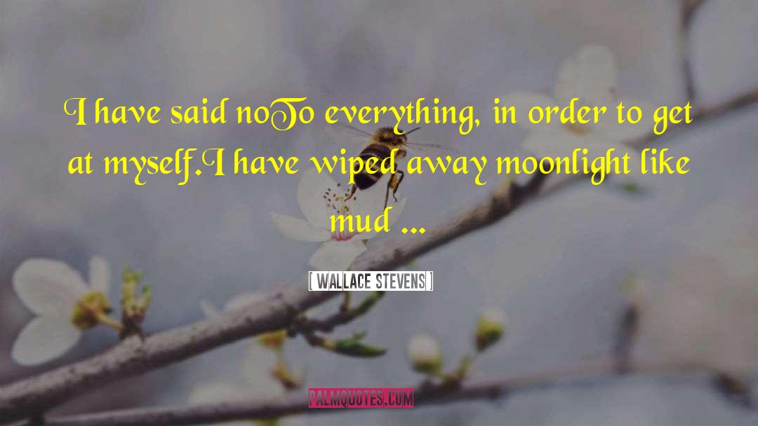 Kickin Up Mud quotes by Wallace Stevens