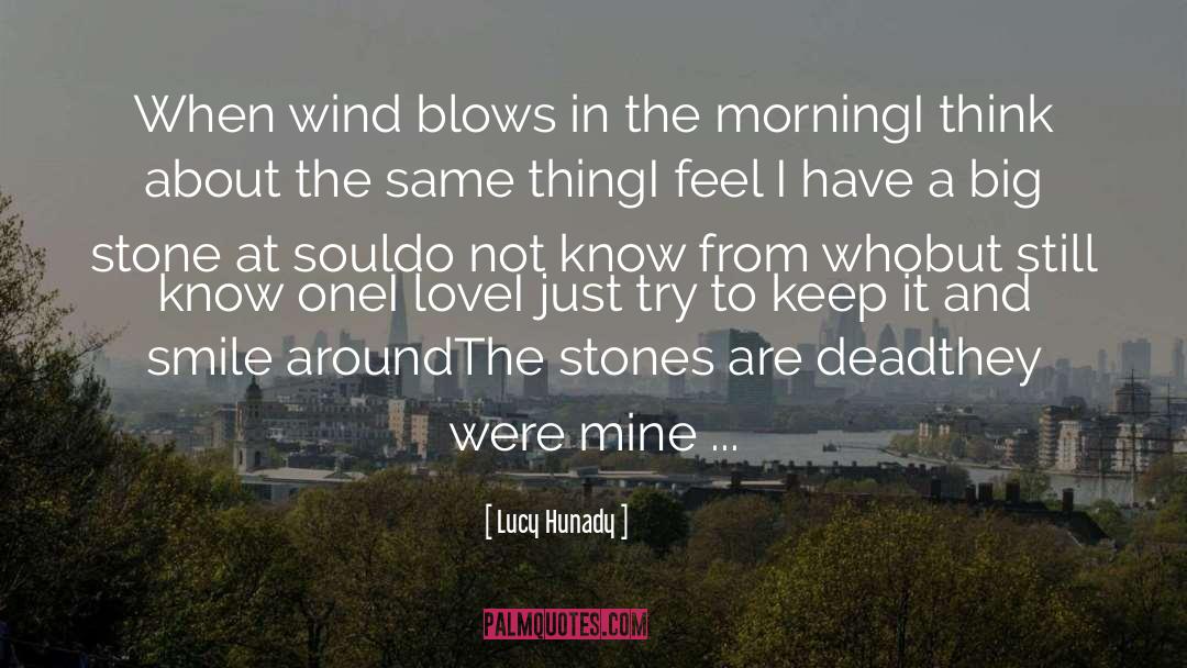 Kidney Stones quotes by Lucy Hunady