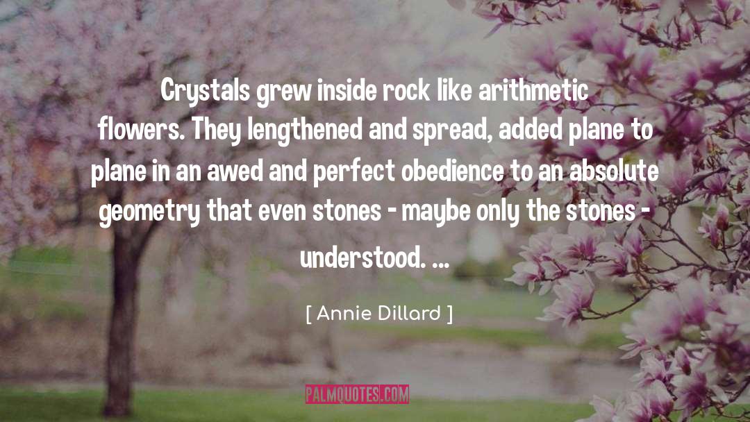 Kidney Stones quotes by Annie Dillard