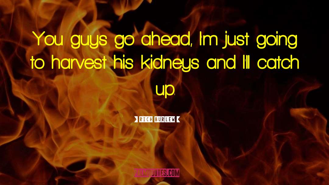 Kidneys quotes by Rich Burlew