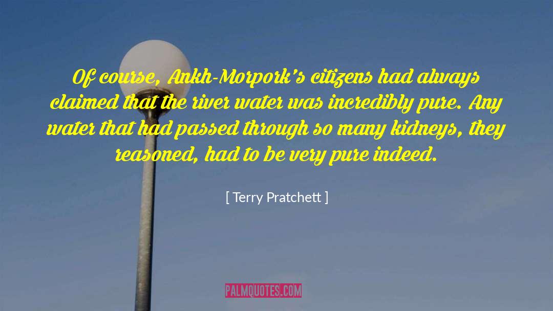 Kidneys quotes by Terry Pratchett