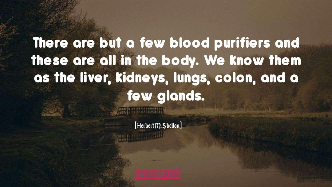 Kidneys quotes by Herbert M. Shelton