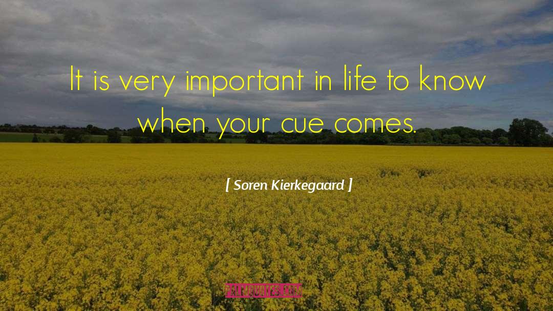 Kierkegaard quotes by Soren Kierkegaard