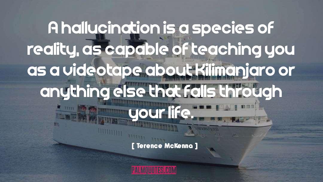 Kilimanjaro quotes by Terence McKenna
