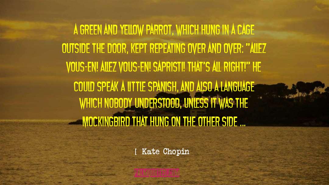 Kill A Mockingbird Mockingbird quotes by Kate Chopin