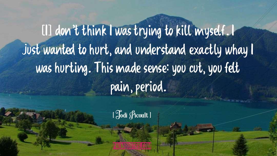 Kill Myself quotes by Jodi Picoult