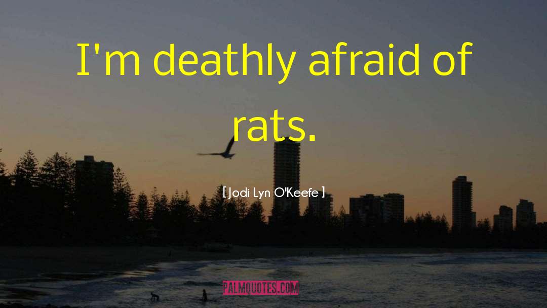 Killer Of Rats quotes by Jodi Lyn O'Keefe