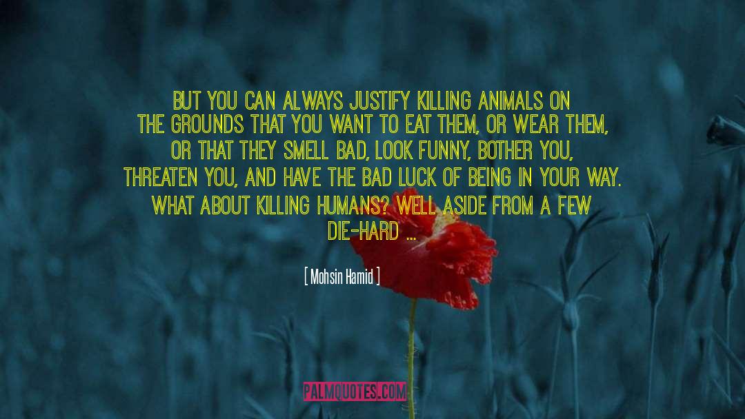 Killing Animals quotes by Mohsin Hamid
