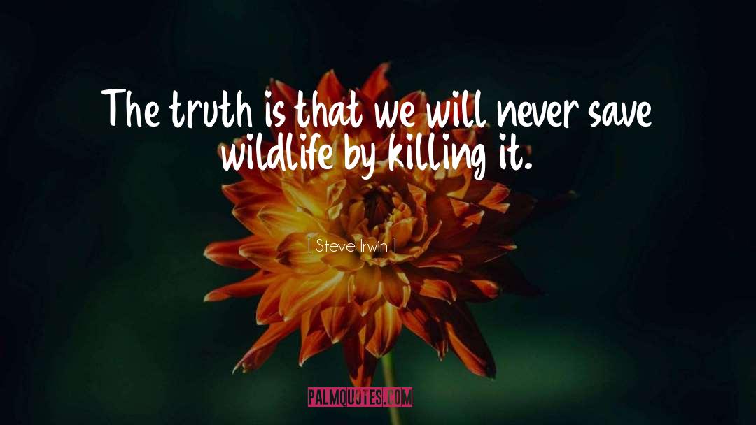 Killing Calm quotes by Steve Irwin