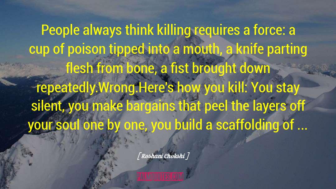 Killing Maine quotes by Roshani Chokshi