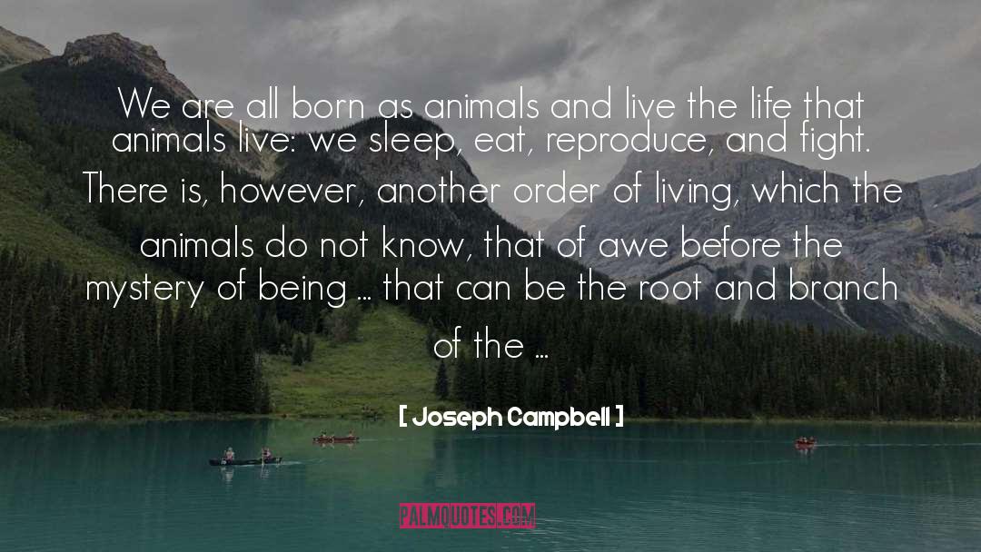 Kim Ha Campbell quotes by Joseph Campbell