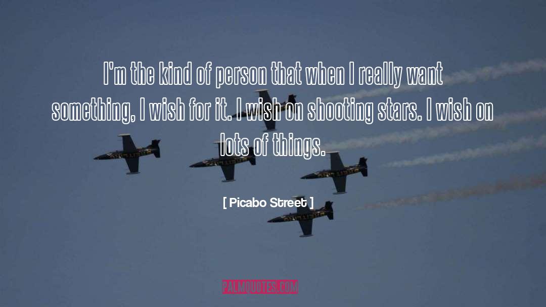 Kind Of Person quotes by Picabo Street