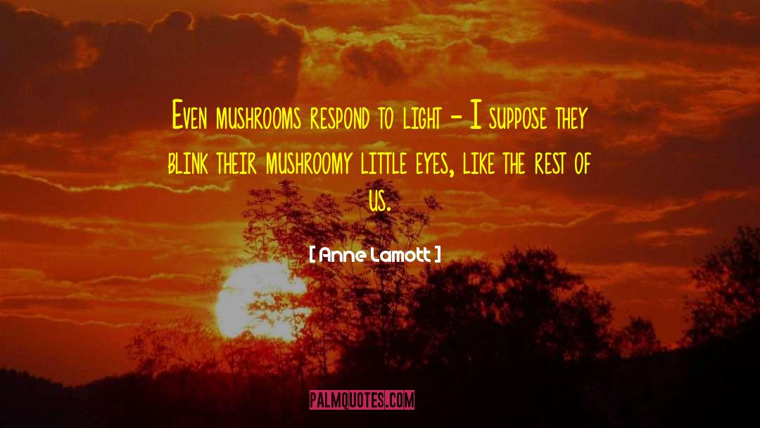 Kind Respond quotes by Anne Lamott