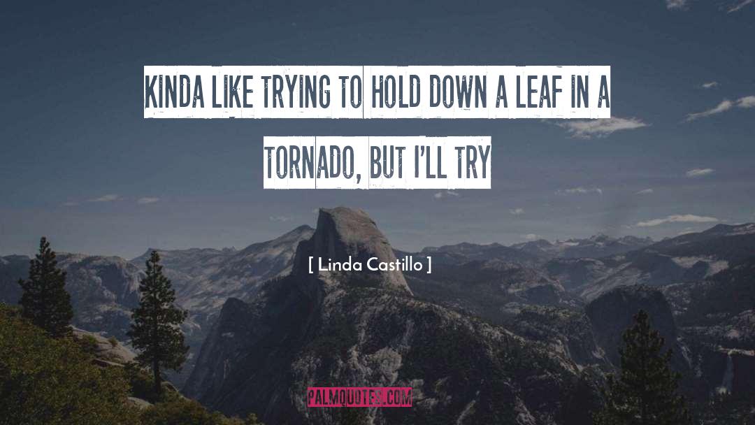 Kinda quotes by Linda Castillo