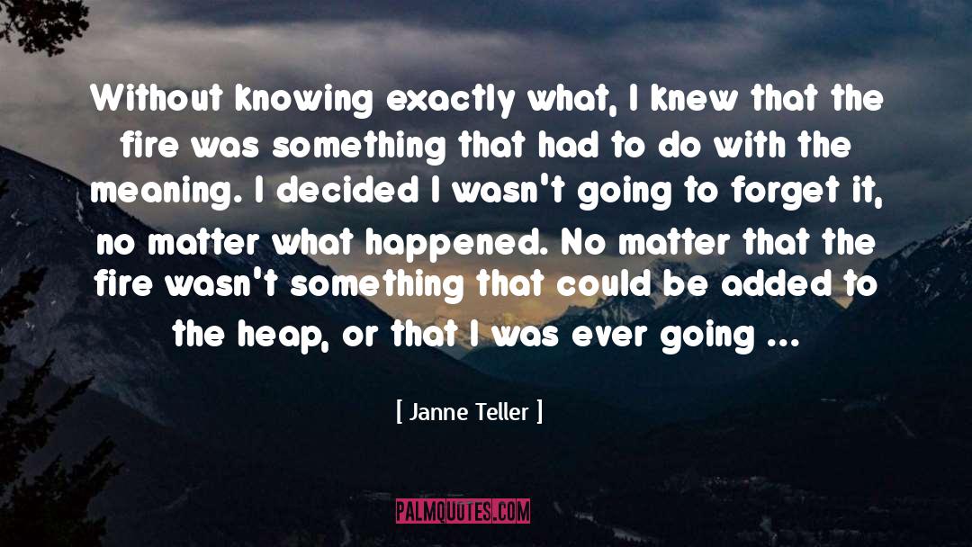 Kindle Fire quotes by Janne Teller