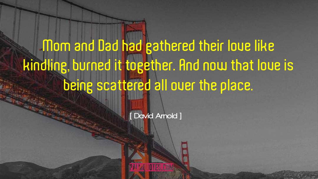 Kindling quotes by David Arnold