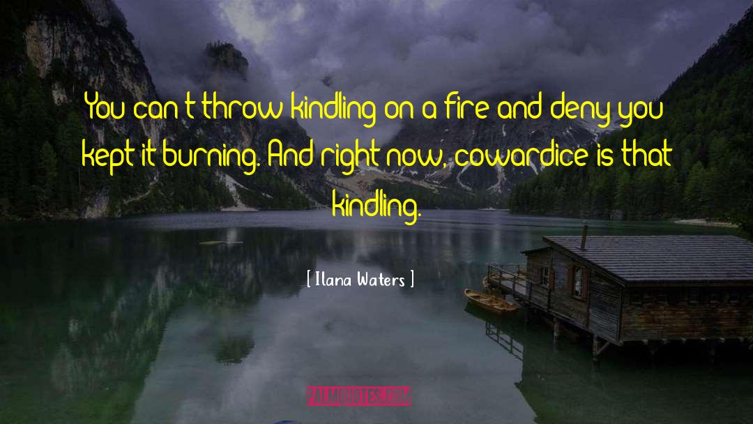 Kindling quotes by Ilana Waters