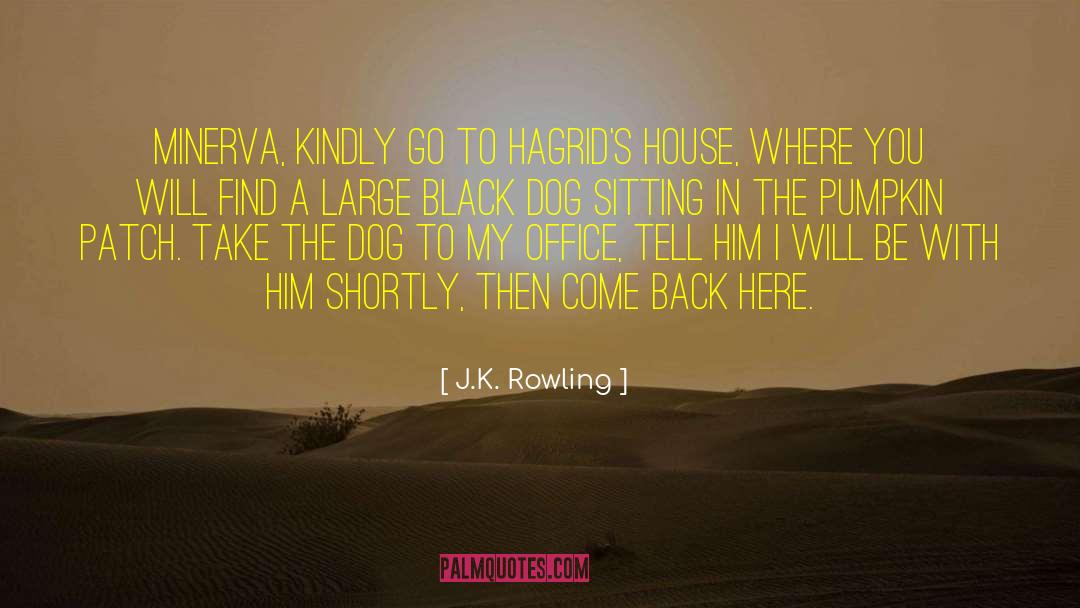 Kindly quotes by J.K. Rowling