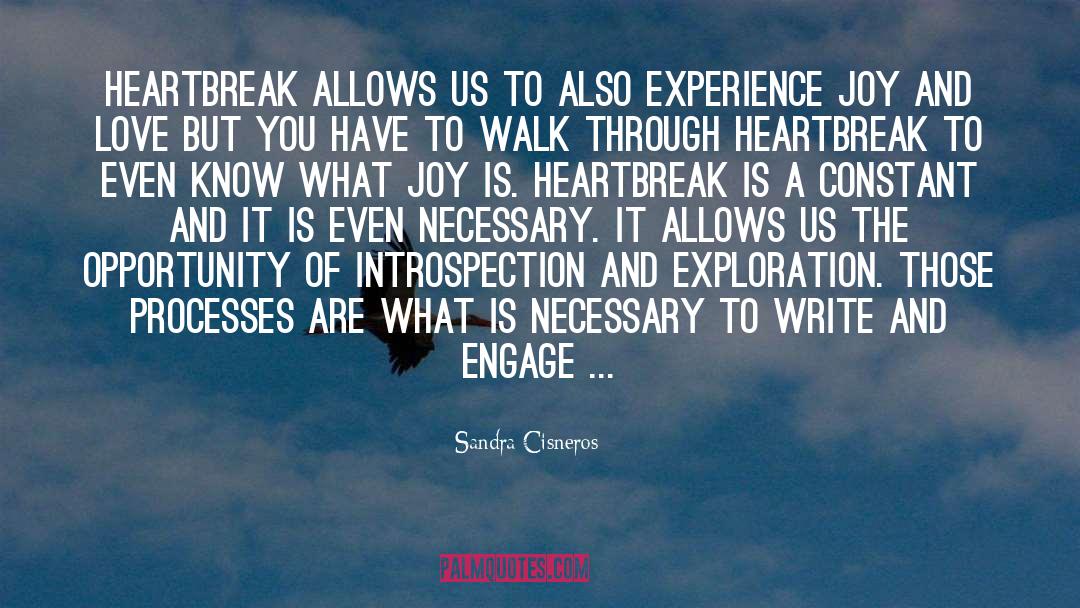 Kindness And Love quotes by Sandra Cisneros