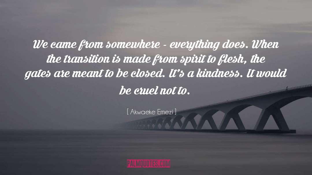 Kindness Is A Mirror quotes by Akwaeke Emezi