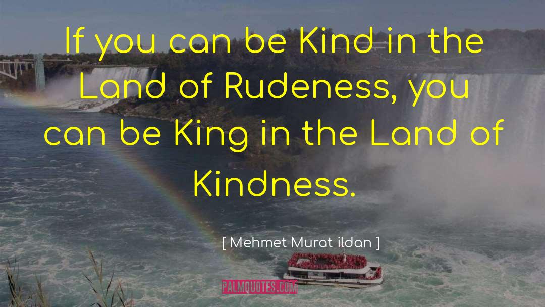King Of Adarlan quotes by Mehmet Murat Ildan