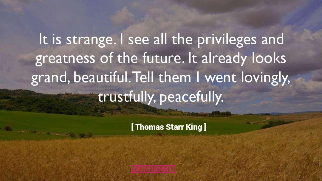 King Of Words quotes by Thomas Starr King