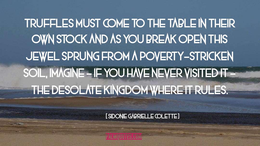 Kingdom quotes by Sidonie Gabrielle Colette