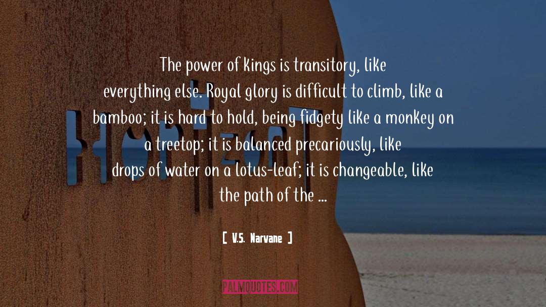 Kingdom S Edge quotes by V.S. Narvane