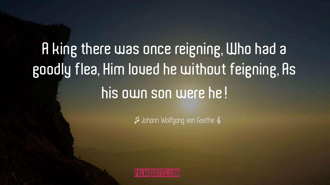 Kings quotes by Johann Wolfgang Von Goethe
