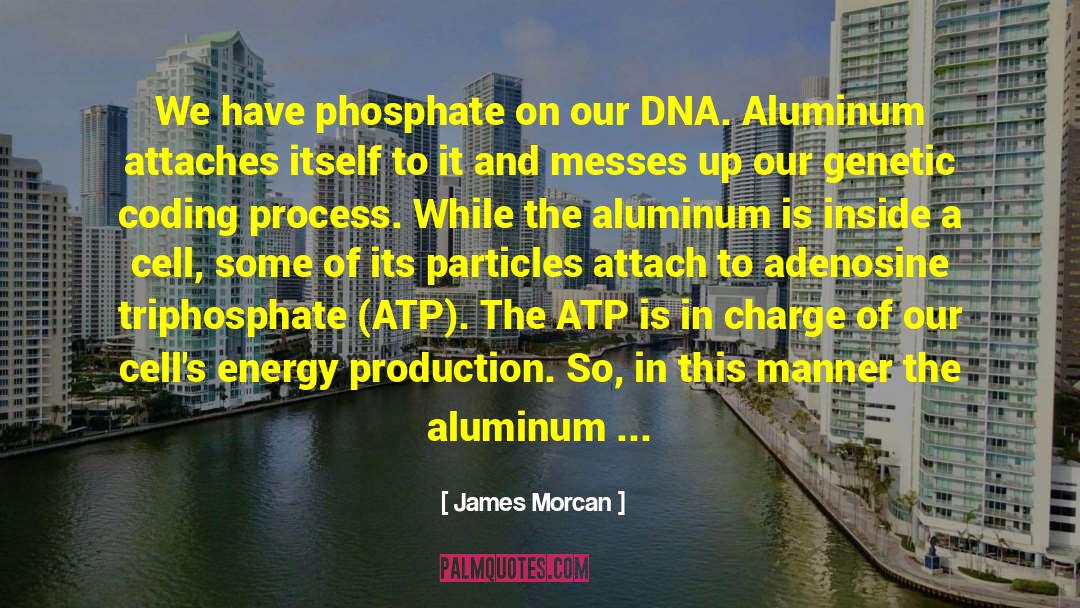 Kirchheimer Atp quotes by James Morcan