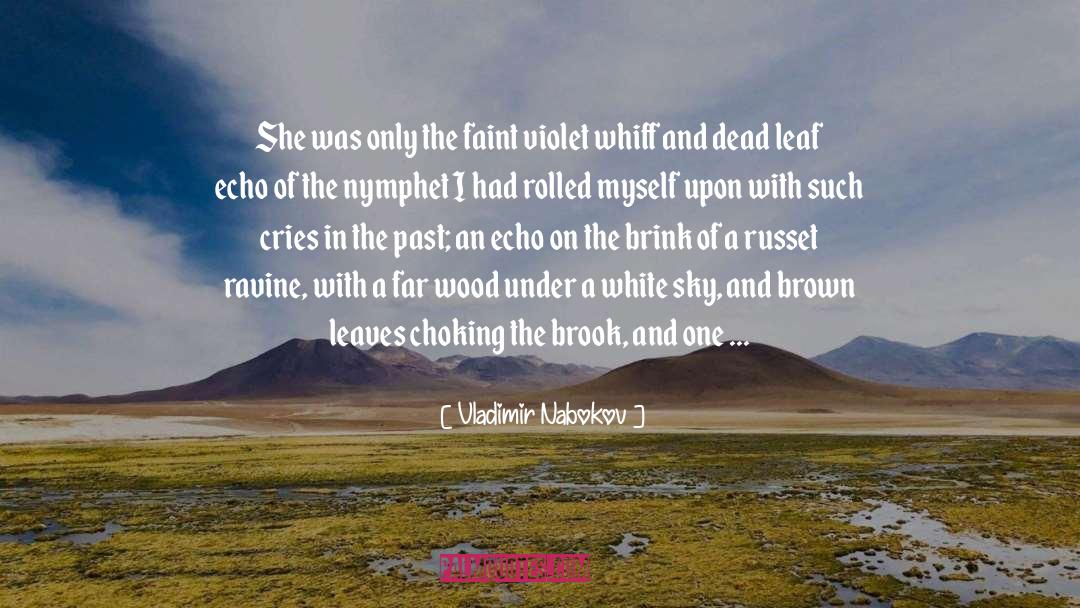 Kiss The Sky quotes by Vladimir Nabokov