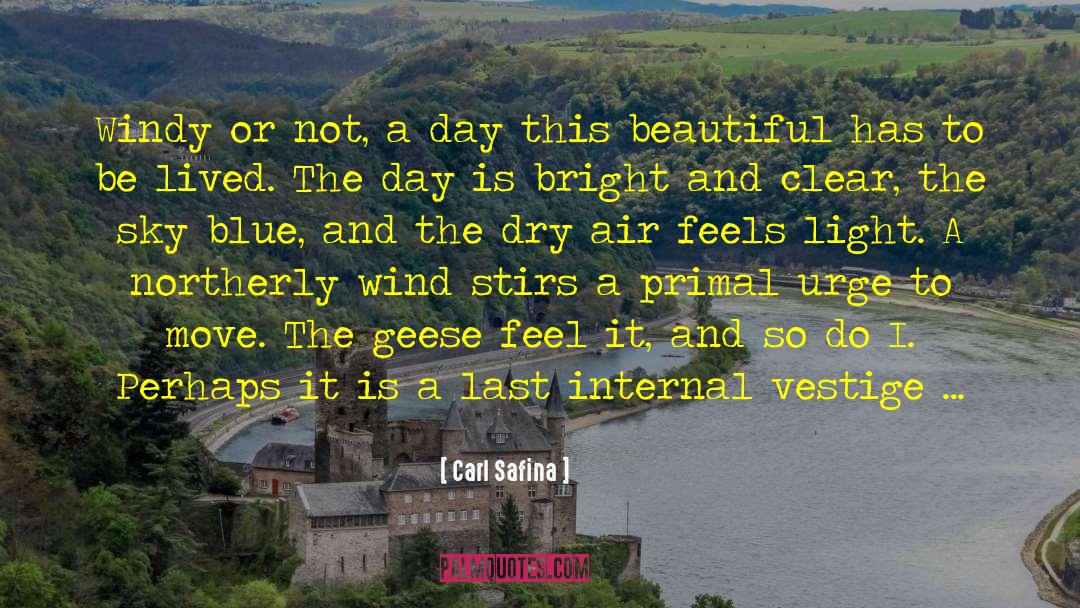 Kiss The Sky quotes by Carl Safina